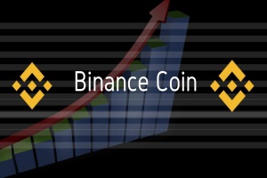 Токен Binance Coin