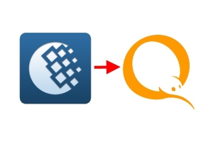 Варианты перевода денег с Webmoney на Qiwi